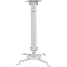 Techly ICA-PM 18M projektora stiprinājums Griesti Sudrabs