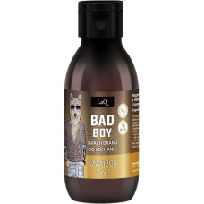 LAQ Bad boy mini szampon regenerujący 1w1 100ml