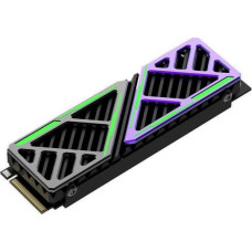 Hiksemi SSD HIKSEMI FutureX 1TB M.2 2280 PCI-E x4 Gen4 NVMe (HS-SSD-FUTUREX 1024G)