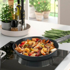 Maestro Pan Maestro Greblonova 20cm